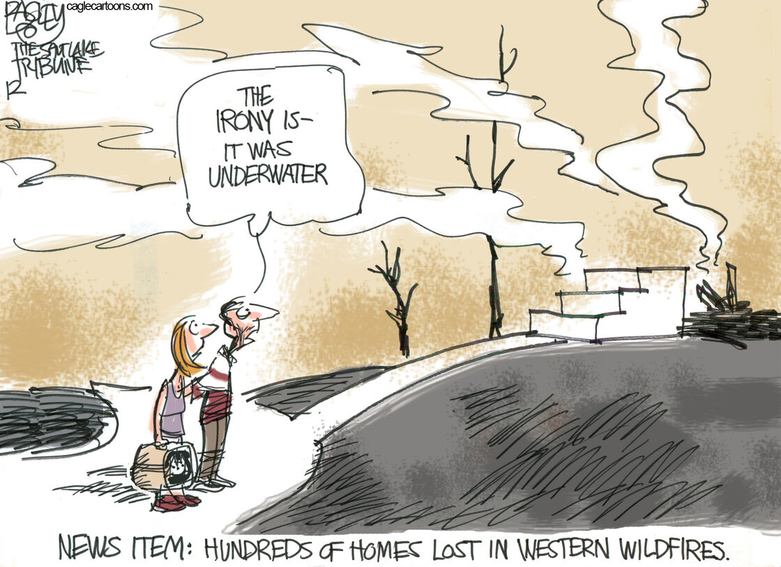 politicalcartoons.com