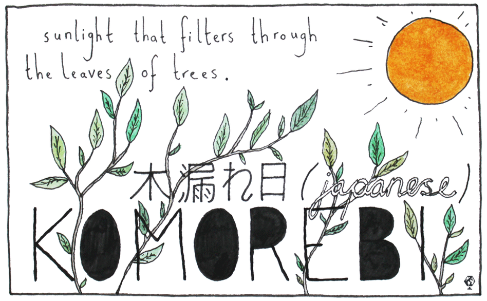 This is the word the Japanese have for when sunlight filters through the trees — the interplay between the light and the leaves. This is the word the Japanese have for when sunlight filters through the trees — the interplay between the light and the leaves.