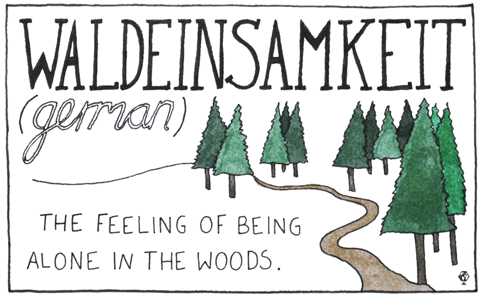 A feeling of solitude, being alone in the woods and a connection to nature. A feeling of solitude, being alone in the woods and a connection to nature.