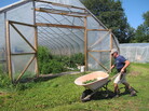 Joe Buley owns Screamin' Ridge Farm in Montpelier, Vt. He says the FDA's new food safety rules threaten the viability of small New England farm operations like his. Here, Buley harvests cucumbers. Joe Buley owns Screamin' Ridge Farm in Montpelier, Vt. He says the FDA's new food safety rules threaten the viability of small New England farm operations like his. Here, Buley harvests cucumbers.