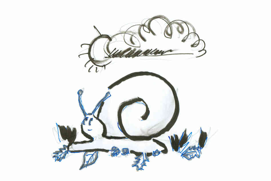 Snail 1 Snail 1
