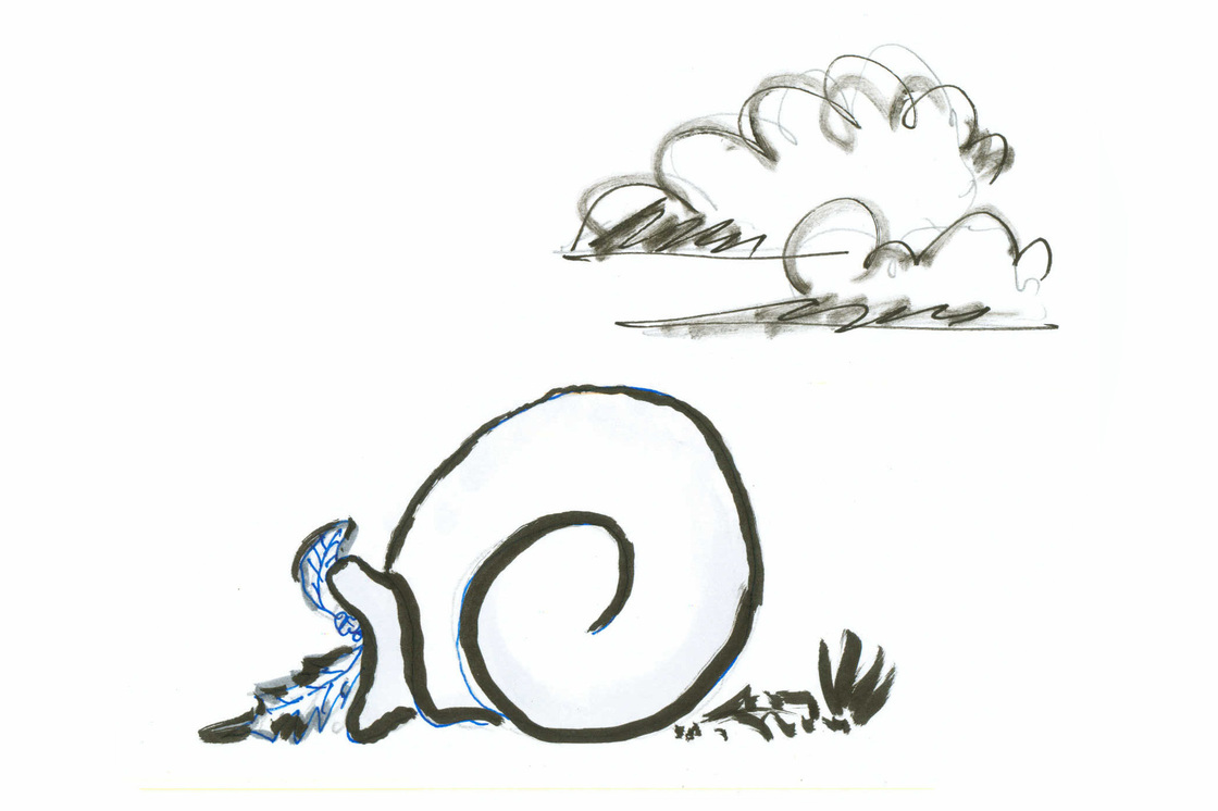 In the fall snails sense the days getting shorter so they prepare for what's coming.