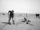 A Dust Bowl farmer digs out a fence post to keep it from being buried under drifting sand in Cimarron County, Okla., in 1936. A Dust Bowl farmer digs out a fence post to keep it from being buried under drifting sand in Cimarron County, Okla., in 1936.