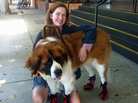 Lauren Henderson and her service dog, Phoebe, in Los Angeles. Henderson says she's seeing more dogs in vests that don't appear to be legitimate service dogs. Lauren Henderson and her service dog, Phoebe, in Los Angeles. Henderson says she's seeing more dogs in vests that don't appear to be legitimate service dogs.