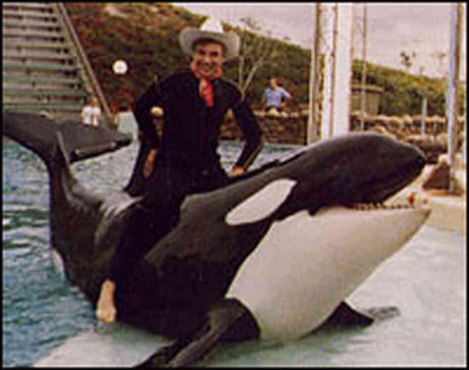 Cal Worthington poses with Shamu during one of his trademark used-car commercials. Cal Worthington poses with Shamu during one of his trademark used-car commercials.