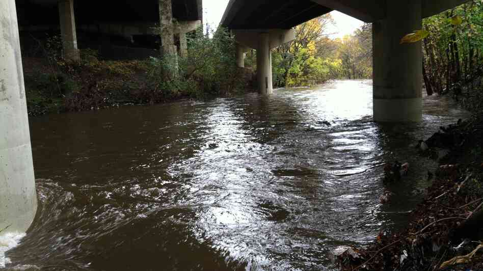 Gwynns Falls runs beneath Interstate 95 at Carroll Park in Baltimore. The chemistry of this river, like many across the country, is changing. Gwynns Falls runs beneath Interstate 95 at Carroll Park in Baltimore. The chemistry of this river, like many across the country, is changing.