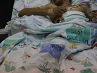 A wounded Syrian, suffering skull, stomach and pancreas injuries from an explosion, in intensive care at Ziv Medical Center in Israel. Hospital staff asked that faces and names not be included to protect the safety of the Syrian patients who could get in trouble with Syrian authorities if it were discovered that they were in Israel. A wounded Syrian, suffering skull, stomach and pancreas injuries from an explosion, in intensive care at Ziv Medical Center in Israel. Hospital staff asked that faces and names not be included to protect the safety of the Syrian patients who could get in trouble with Syrian authorities if it were discovered that they were in Israel.