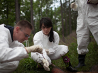 Knight (left) and Bucheli take soil samples from beneath one of the decomposing bodies. Knight (left) and Bucheli take soil samples from beneath one of the decomposing bodies.