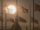 Flags fly at half-staff Tuesday after the deadly shootings at the Navy Yard in Washington, D.C. Flags fly at half-staff Tuesday after the deadly shootings at the Navy Yard in Washington, D.C.