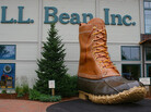 I'd like to return one boot? I'd like to return one boot?