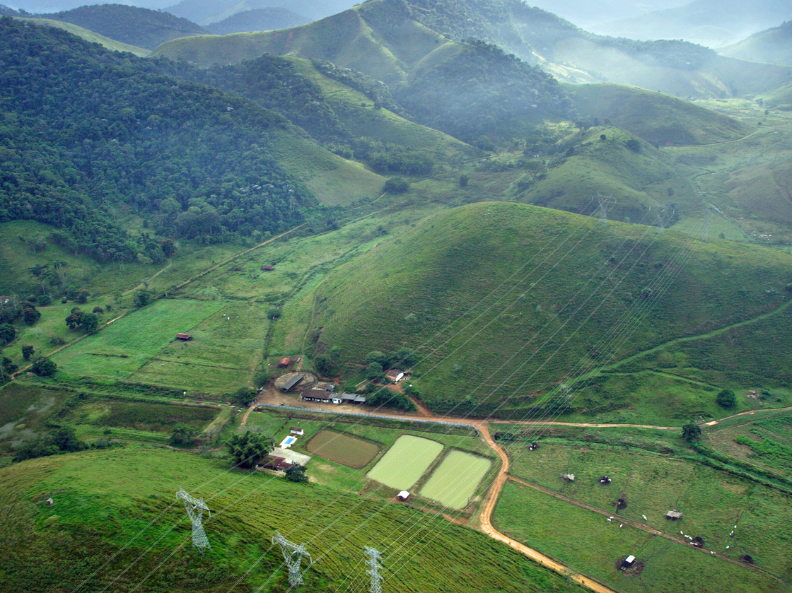 Power lines, roads and agricultural development in Rio de Janeiro state have isolated golden lion tamarins in forest fragments, leaving them vulnerable to inbreeding and other threats.