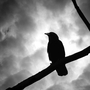 Koren Zailckas read Edgar Allan Poe in fourth grade, and the terrifying texts brought her to life.