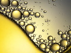 Are faith and reason just like oil and water? Are faith and reason just like oil and water?