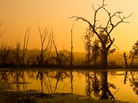 Dawn at Brazos Bend. Dawn at Brazos Bend.