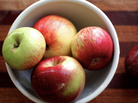 Gravenstein Apples Gravenstein Apples