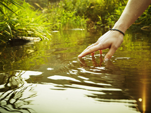 Every species has its own important role in maintaining nature's balance. Every species has its own important role in maintaining nature's balance.