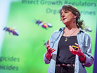 Marie Spivak at TEDGlobal 2013 in Edinburgh, Scotland. Marie Spivak at TEDGlobal 2013 in Edinburgh, Scotland.