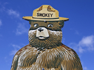 Smokey Bear fire prevention messages might not always be the best thing for forests. Smokey Bear fire prevention messages might not always be the best thing for forests.