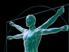 Vitruvian man Vitruvian man