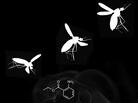 Scientists have discovered four new DEET-like mosquito repellents. Three of them are safe to eat. Scientists have discovered four new DEET-like mosquito repellents. Three of them are safe to eat.