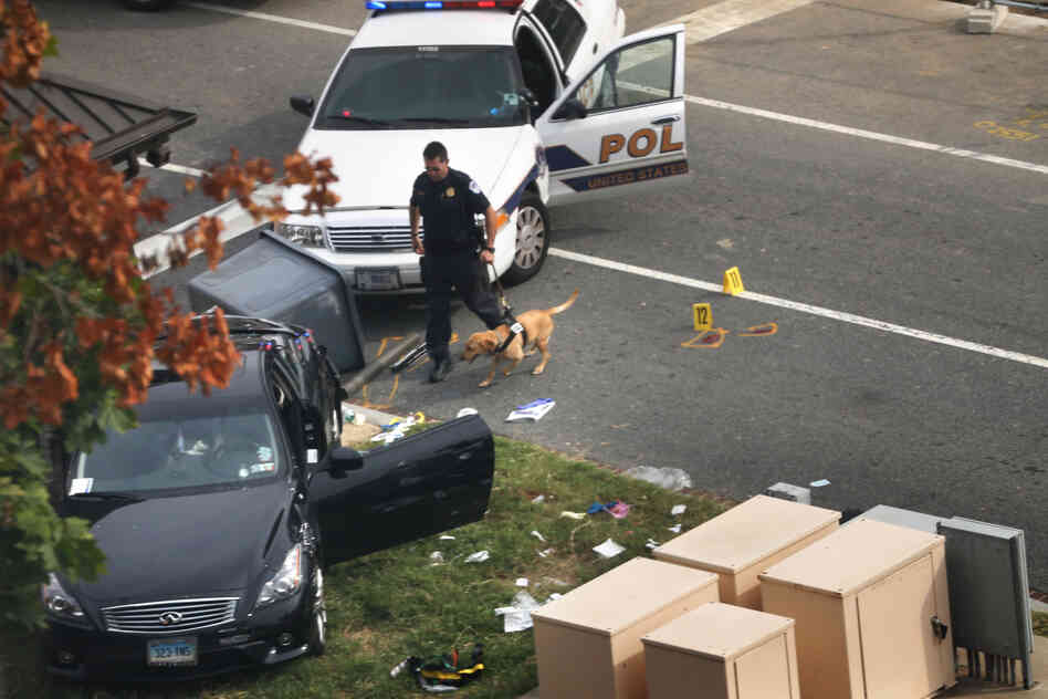 A police officer checks out a car on grass with his canine near the U.S. Capitol on Thursday in Washington, D.C. The Capitol and the White House were placed on lockdown after an 'active shooter' situation was reported. A police officer checks out a car on grass with his canine near the U.S. Capitol on Thursday in Washington, D.C. The Capitol and the White House were placed on lockdown after an 'active shooter' situation was reported.