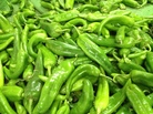Fresh picked green chiles are bound for stews, burritos, enchiladas, pozole and more. Fall is chili roasting season in New Mexico. Fresh picked green chiles are bound for stews, burritos, enchiladas, pozole and more. Fall is chili roasting season in New Mexico.
