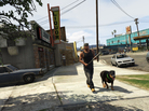 This guy and his dog are doing all they can to contribute to the world of Grand Theft Auto V. This guy and his dog are doing all they can to contribute to the world of Grand Theft Auto V.