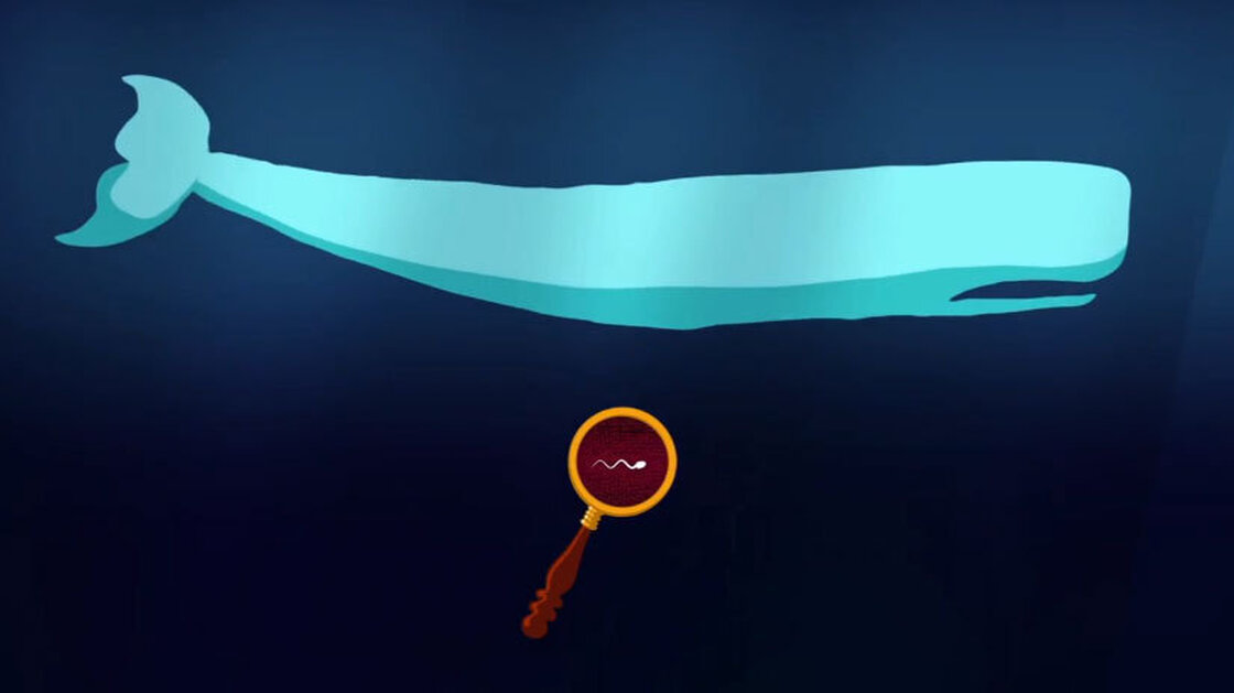 Sperm whale and sperm Sperm whale and sperm