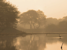Marshland in India Marshland in India