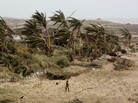 An Indian woman returns to the cyclone-hit Arjipalli village on the Bay of Bengal coast in Ganjam district, Orissa state, India, Sunday. Officials say 17 deaths resulted from the powerful storm that left a trail of destroyed houses. An Indian woman returns to the cyclone-hit Arjipalli village on the Bay of Bengal coast in Ganjam district, Orissa state, India, Sunday. Officials say 17 deaths resulted from the powerful storm that left a trail of destroyed houses.