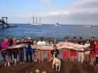 People hoist the body of an 18-foot oarfish that was discovered in Toyon Bay at Catalina Island off the California coast. People hoist the body of an 18-foot oarfish that was discovered in Toyon Bay at Catalina Island off the California coast.
