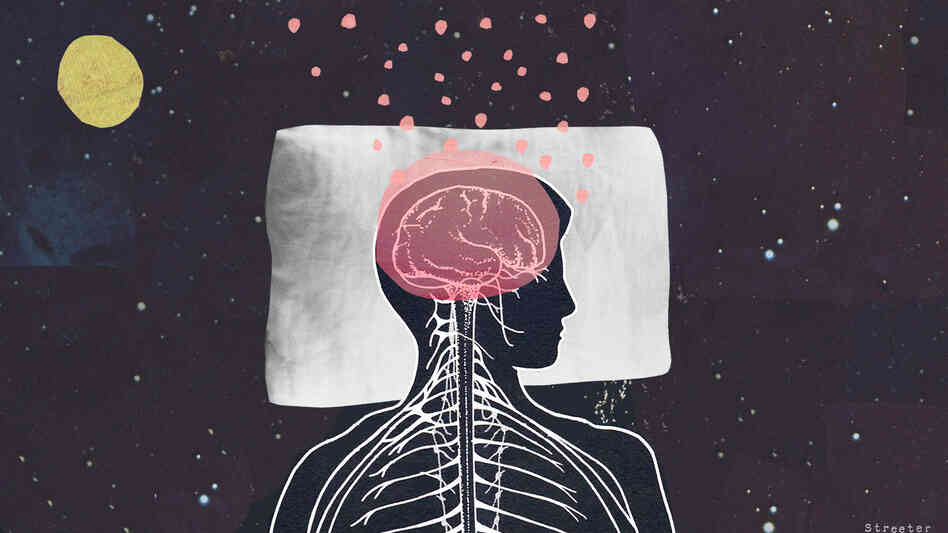 What do our brains do while we sleep? What do our brains do while we sleep?
