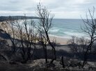 The charred headland at Catherine Hill Bay near Wyong on the Central Coast of New South Wales, Australia. The charred headland at Catherine Hill Bay near Wyong on the Central Coast of New South Wales, Australia.
