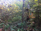 The reSTART center for Internet addiction is in the woods outside Seattle. The initial, inpatient part of the program is held on a property that has a treehouse and a garden. The reSTART center for Internet addiction is in the woods outside Seattle. The initial, inpatient part of the program is held on a property that has a treehouse and a garden.
