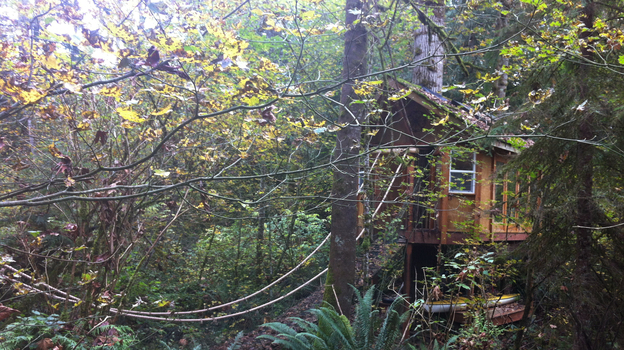 The reSTART center for Internet addiction is in the woods outside Seattle. The initial, in-patient part of the program is held on a property that has a tree house and a garden. (Image credit: NPR)