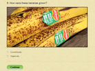 It's a fun quiz — and you'll probably learn a thing or two. It's a fun quiz — and you'll probably learn a thing or two.