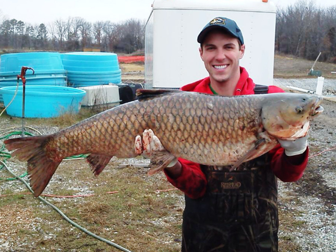 Tommy Goszewski, a technician with the U.S. Geological Survey, holds a grass carp taken from a pond at an agency lab in Columbia, Mo., in spring 2013. Tommy Goszewski, a technician with the U.S. Geological Survey, holds a grass carp taken from a pond at an agency lab in Columbia, Mo., in spring 2013.