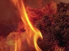 Seasonal Works with Letters on Fire cover Seasonal Works with Letters on Fire cover