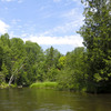 The Au Sable River in Michigan is a popular place for fly fishermen and the heart of a debate unexpectedly influenced by largely invisible social welfare organizations. The Au Sable River in Michigan is a popular place for fly fishermen and the heart of a debate unexpectedly influenced by largely invisible social welfare organizations.