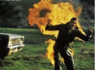 Stuntman! book cover Stuntman! book cover