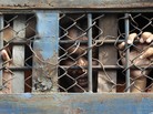 A Bangladeshi border guard cries inside a prison van as he leaves a special court after a verdict in Dhaka, Bangladesh, on Tuesday. The court sentenced 152 people to death for a 2009 mutiny by disgruntled border guards who killed dozens of military commanders during a brutal, two-day uprising. A Bangladeshi border guard cries inside a prison van as he leaves a special court after a verdict in Dhaka, Bangladesh, on Tuesday. The court sentenced 152 people to death for a 2009 mutiny by disgruntled border guards who killed dozens of military commanders during a brutal, two-day uprising.