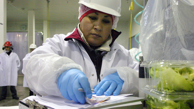 Maricruz Ladino packs lettuce in a cooler in Salinas, Calif. (Center for Investigative Reporting)