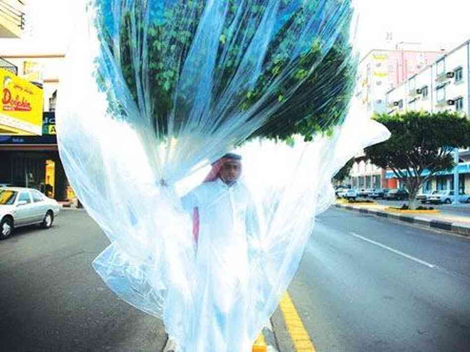"Flora and Fauna," one of Gharem's performance art pieces, focused on an invasive species of tree from Australia. "Flora and Fauna," one of Gharem's performance art pieces, focused on an invasive species of tree from Australia.