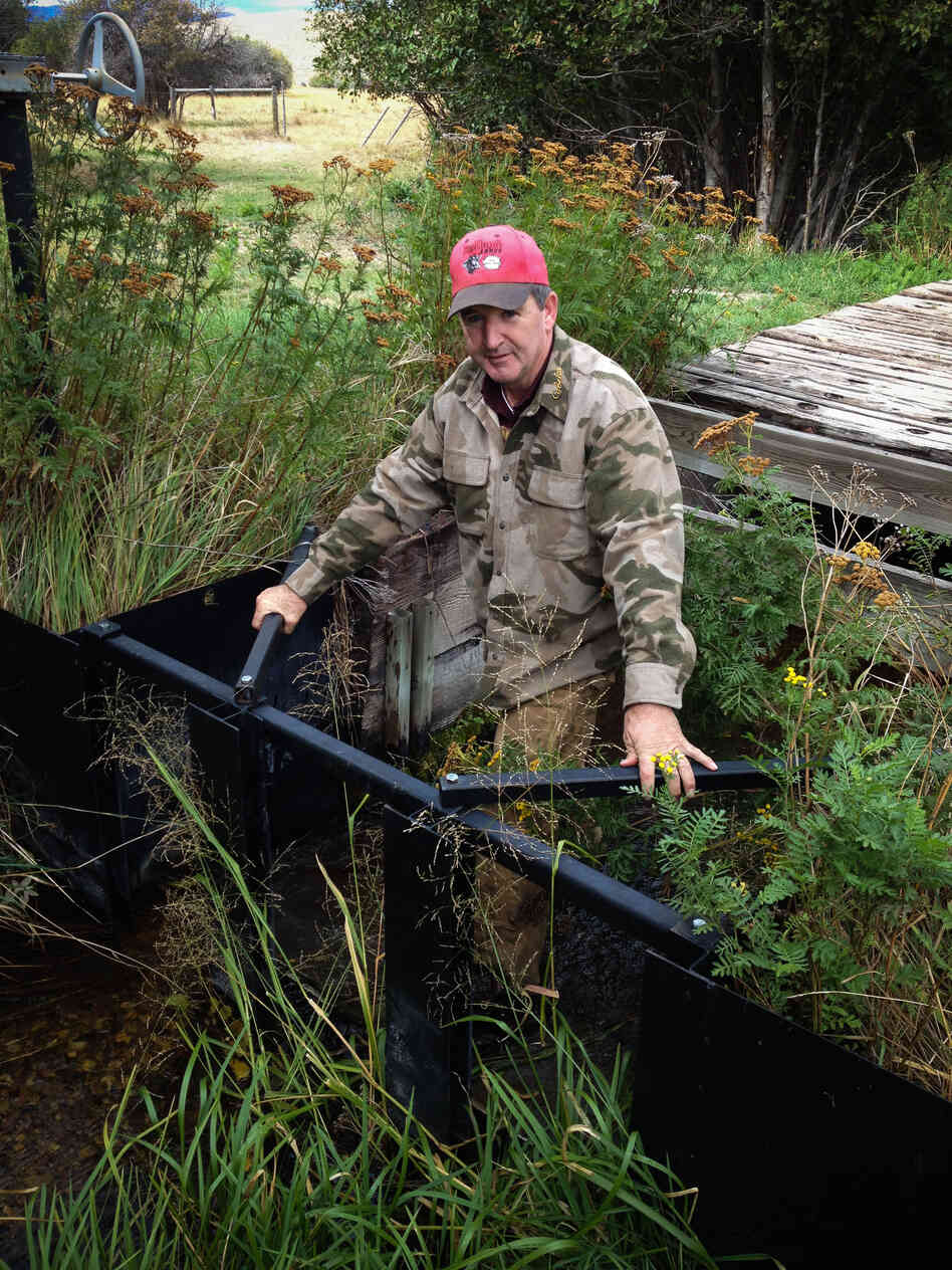 Randy Mannix, a fifth generation cattle farmer, stands in the creek he rehabilitated. Randy Mannix, a fifth generation cattle farmer, stands in the creek he rehabilitated.