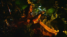 Scene from the video for Marian McLaughlin's "Before You Leave." Scene from the video for Marian McLaughlin's "Before You Leave."