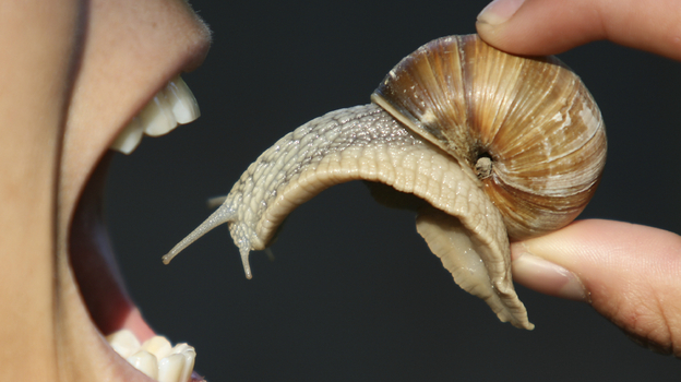 (iStockphoto.com)