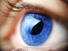 Estrogen affects cells in the eye's retina, which may help explain a possible link between glaucoma and estrogen levels. Estrogen affects cells in the eye's retina, which may help explain a possible link between glaucoma and estrogen levels.