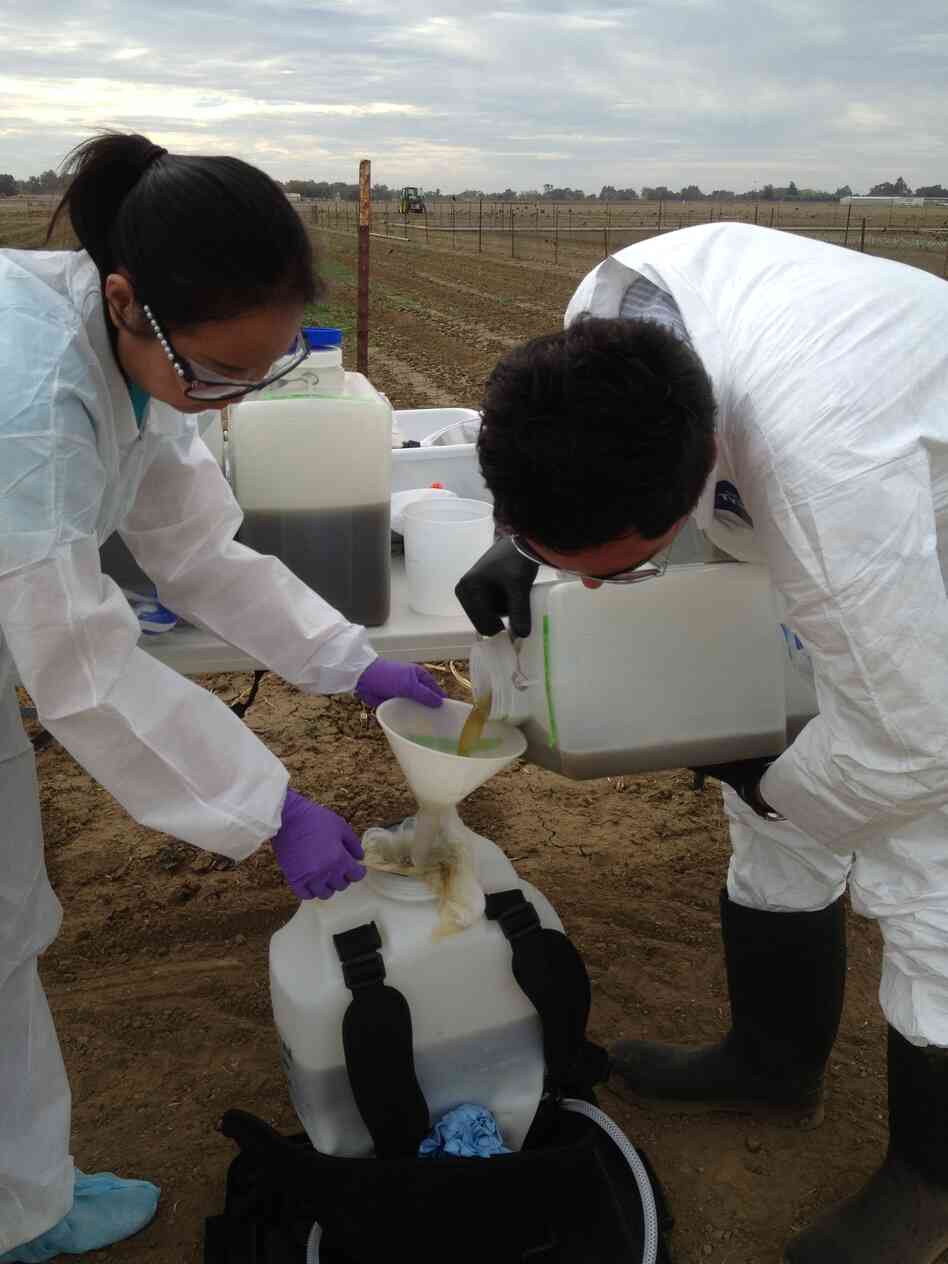 The scientists measure slurry with E. coli into backpacks for spraying on fields. The scientists measure slurry with E. coli into backpacks for spraying on fields.