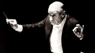 Conductor Erich Leinsdorf has the Boston Symphony Orchestra play the funeral march from Beethoven's Third Symphony after breaking the news of John F. Kennedy's death. Conductor Erich Leinsdorf has the Boston Symphony Orchestra play the funeral march from Beethoven's Third Symphony after breaking the news of John F. Kennedy's death.