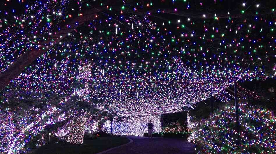 Decorating their house and yard with more than 31 miles' worth of lights, an Australian family has reclaimed a Guinness world record in Canberra, Australia. Decorating their house and yard with more than 31 miles' worth of lights, an Australian family has reclaimed a Guinness world record in Canberra, Australia.